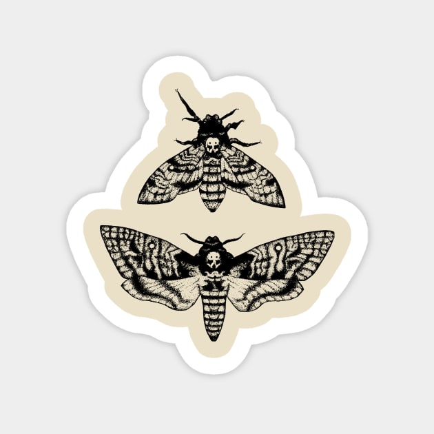 Deaths Head Hawk Moth Sticker by kaleighdayart